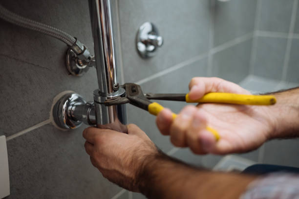 Best Clogged Drain Plumber  in Rogersville, AL