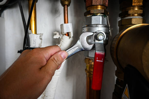 Best Sewer Line Replacement  in Rogersville, AL